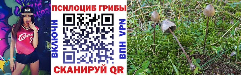 Псилоцибиновые грибы прущие грибы  hydra ссылка  Ардатов 